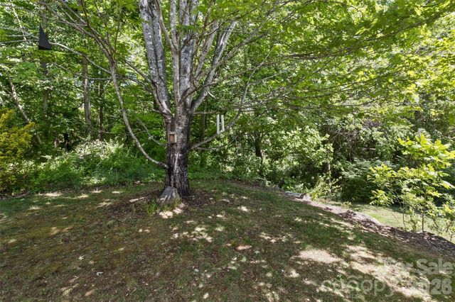 55 Stonebridge Drive, Asheville, NC 28805