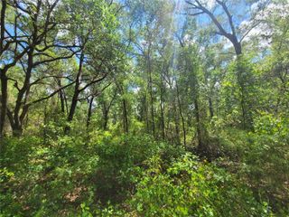912 FERNCREEK AVENUE, Inverness, FL 34453