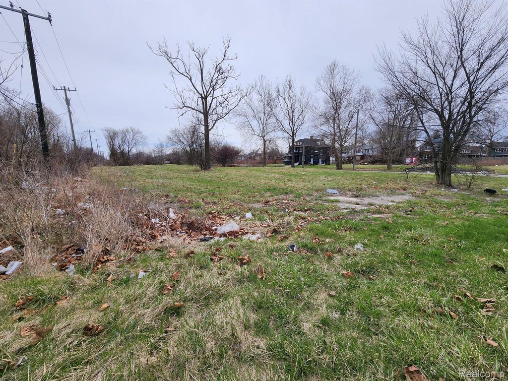 952 KITCHENER Street, Detroit, MI 48215