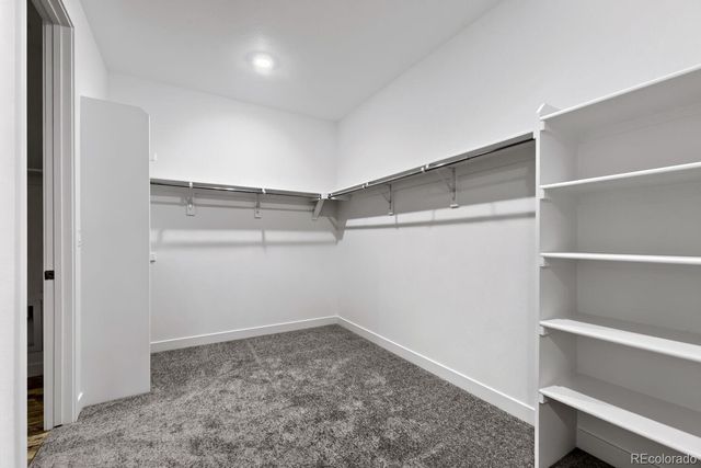 10866 Tundra Top Drive, Parker, CO 80134