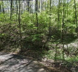 Ridgefield Drive, Sevierville, TN 37876