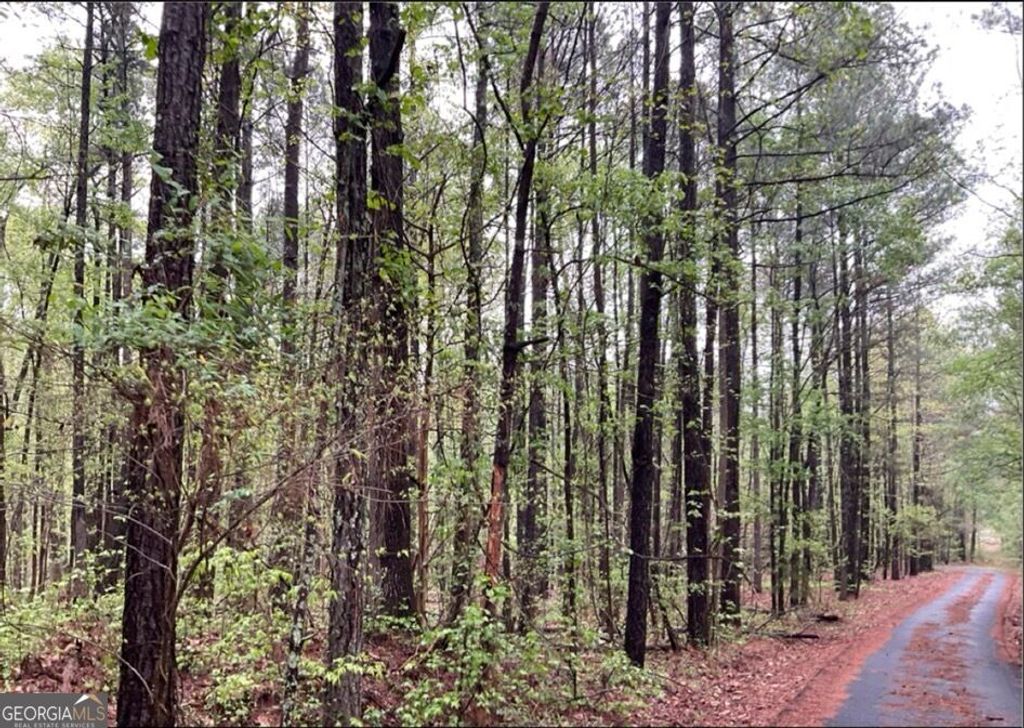 0 Labudde Lane, Colbert, GA 30628 — photo 2
