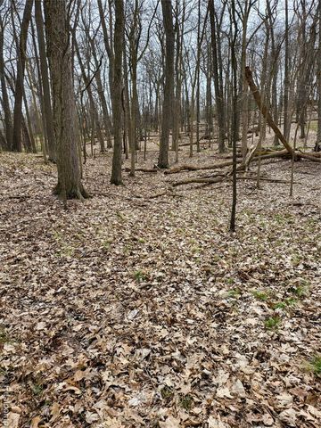 0000 Duana Drive, Milford, MI 48380