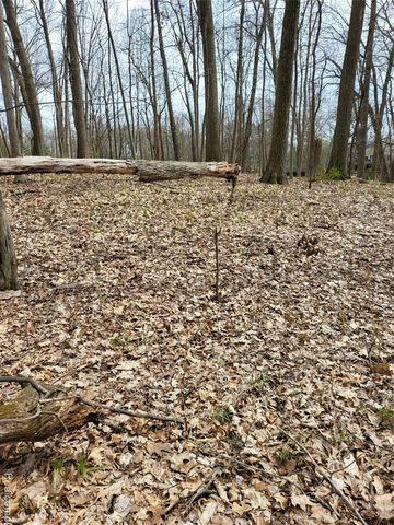 0000 Duana Drive, Milford, MI 48380