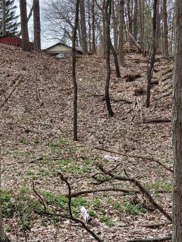 0000 Duana Drive, Milford, MI 48380