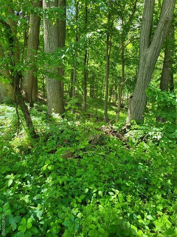 0000 Duana Drive, Milford, MI 48380