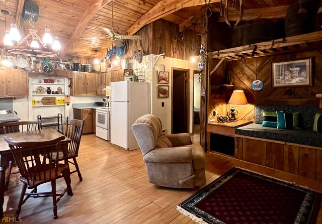 113 Ber Weg, Helen, GA 30545