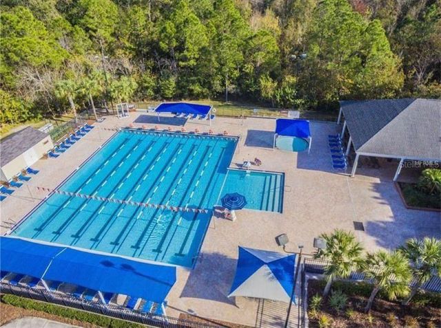 9820 GRETNA GREEN DRIVE, Tampa, FL 33626