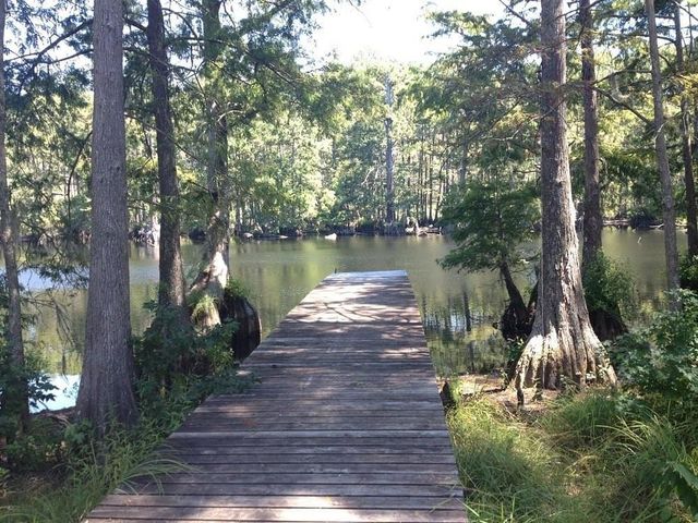 23288 Stoneshire Drive, New Caney, TX 77357