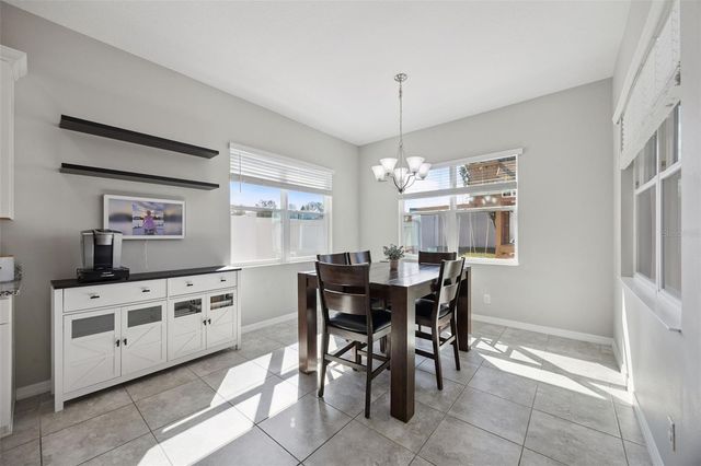 1096 ALDER TREE DRIVE, Apopka, FL 32703