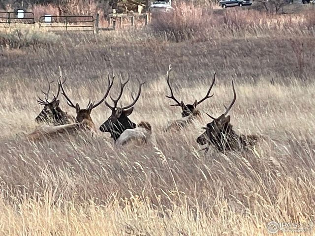 613 Cove Dr, Loveland, CO 80537