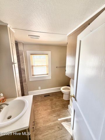 137 Butterfly Lane, Pikeville, NC 27863