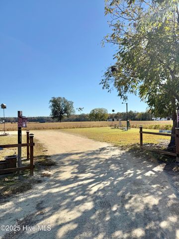 137 Butterfly Lane, Pikeville, NC 27863