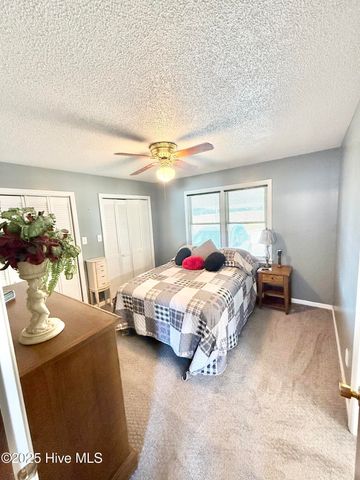 137 Butterfly Lane, Pikeville, NC 27863