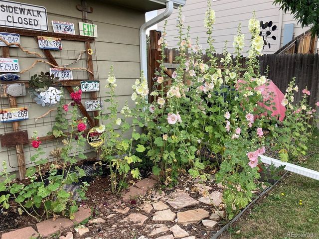 11447 Brownstone Dr, Parker, CO 80138