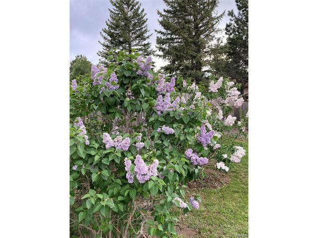 11447 Brownstone Dr, Parker, CO 80138