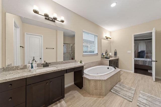 25238 Birchwood Springs Avenue, Porter, TX 77365