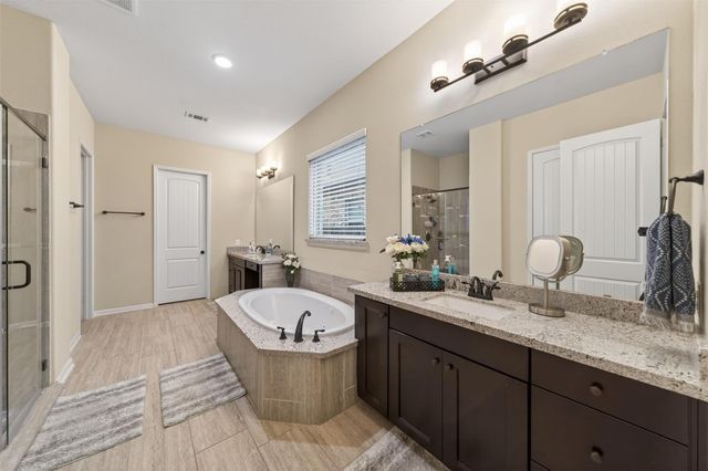 25238 Birchwood Springs Avenue, Porter, TX 77365