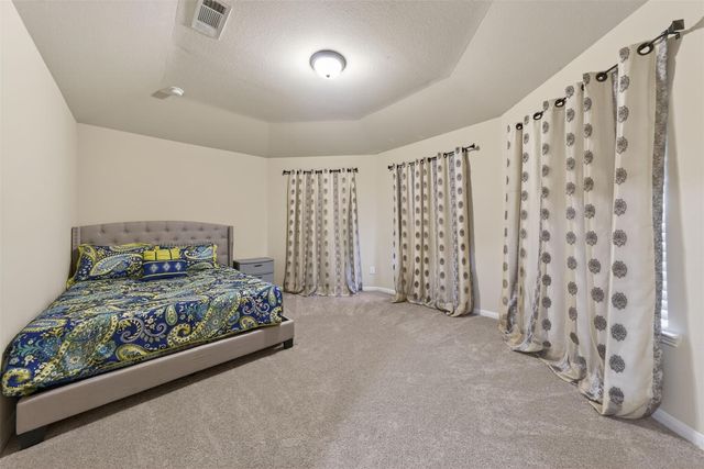 25238 Birchwood Springs Avenue, Porter, TX 77365