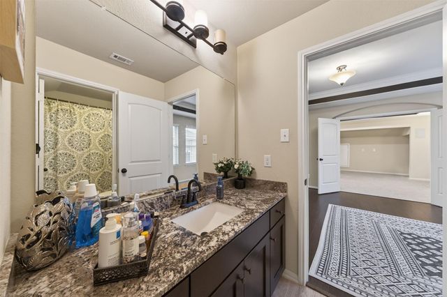 25238 Birchwood Springs Avenue, Porter, TX 77365