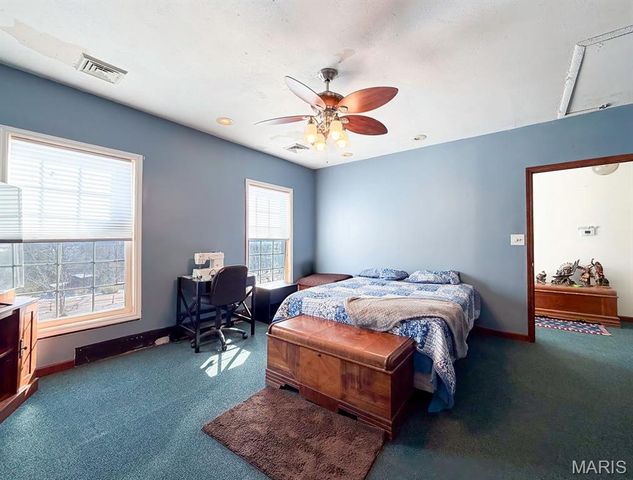 11787 Gamel Cemetery Road, Festus, MO 63028