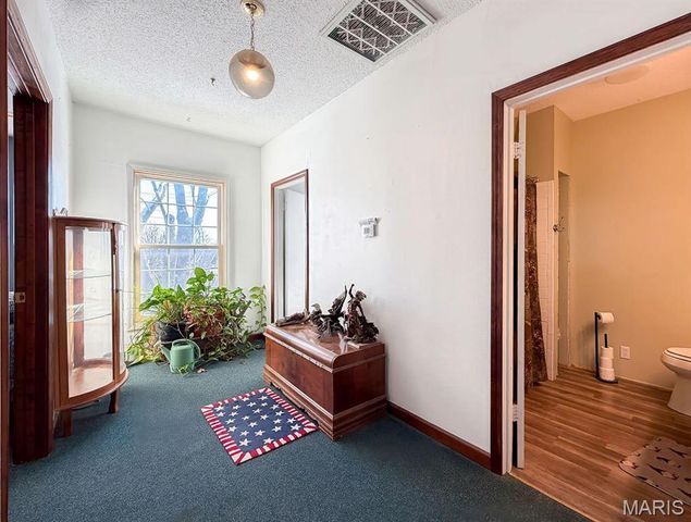 11787 Gamel Cemetery Road, Festus, MO 63028