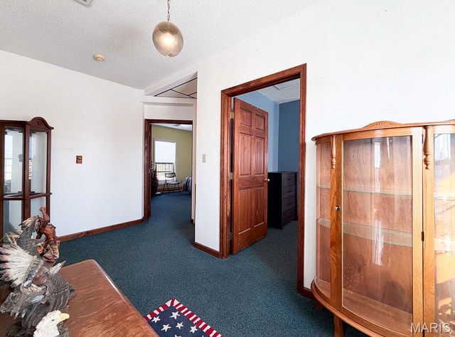 11787 Gamel Cemetery Road, Festus, MO 63028