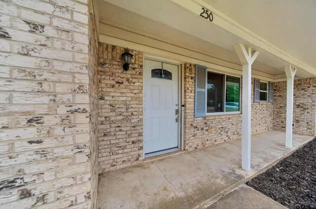 250 MOLLY LN, Mineola, TX 75773