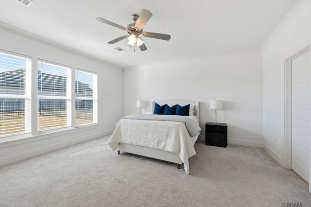 39223 Canopy Ct, Gonzales, LA 70737