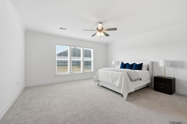 39223 Canopy Ct, Gonzales, LA 70737