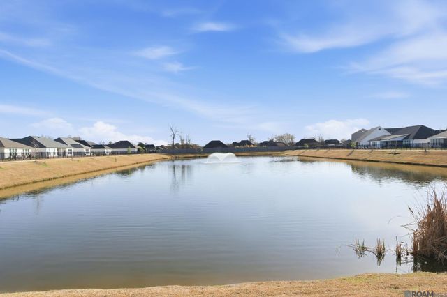 39223 Canopy Ct, Gonzales, LA 70737