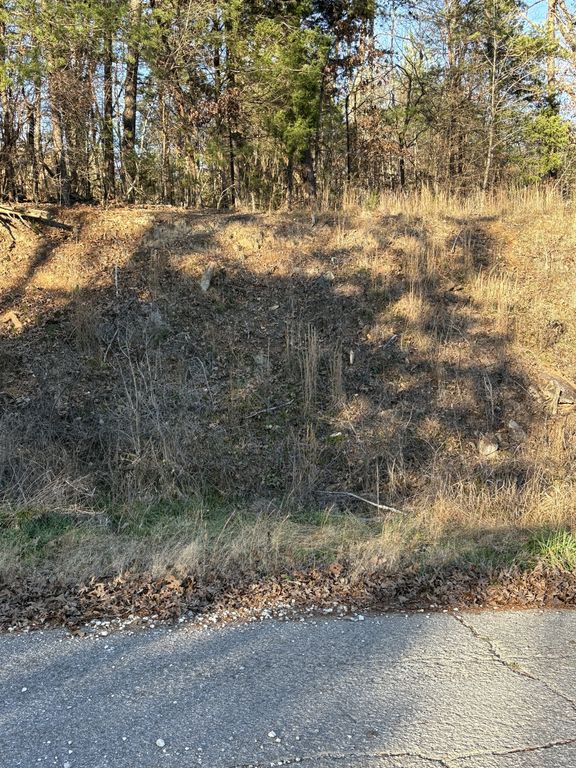 0 S Old Highway 96, S, Burns, TN 37029