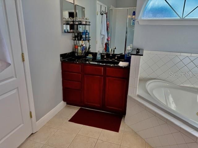 17340 CHATEAU PINE WAY, Clermont, FL 34711