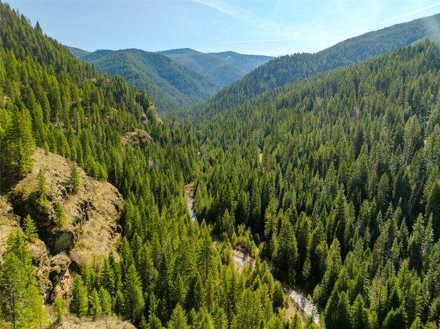 Nhn Pilgrim Creek Road, Noxon, MT 59853