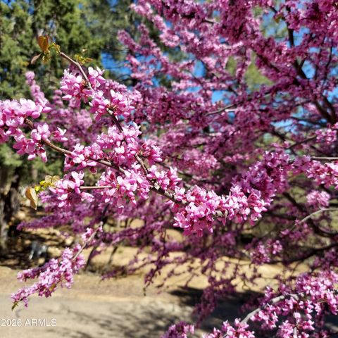 1621 SPRUCE CANYON Drive, Prescott, AZ 86303