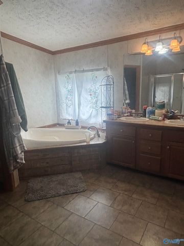 755 County Road 355, Leesburg, AL 35983