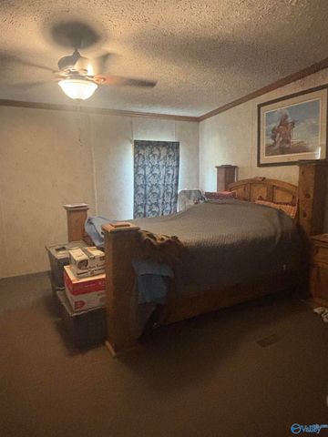 755 County Road 355, Leesburg, AL 35983