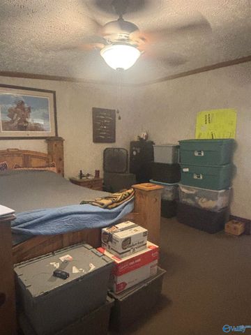 755 County Road 355, Leesburg, AL 35983