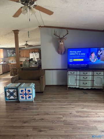 755 County Road 355, Leesburg, AL 35983