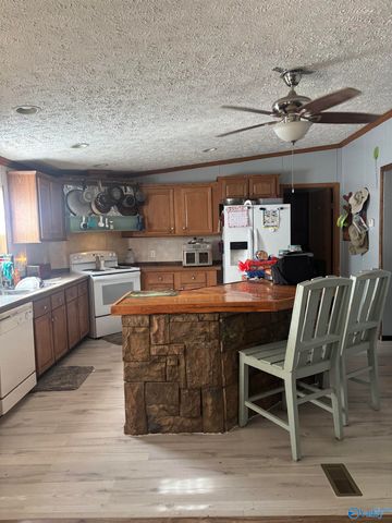 755 County Road 355, Leesburg, AL 35983