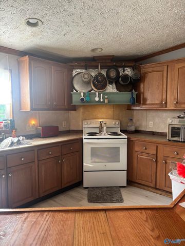 755 County Road 355, Leesburg, AL 35983