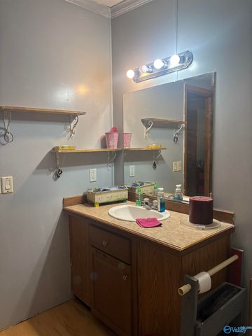 755 County Road 355, Leesburg, AL 35983