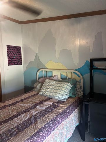 755 County Road 355, Leesburg, AL 35983