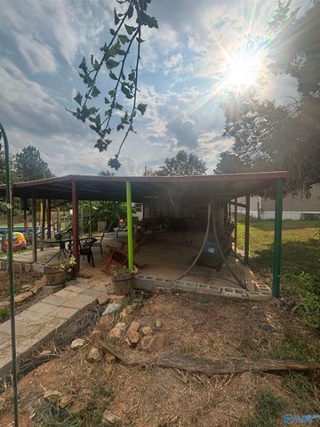 755 County Road 355, Leesburg, AL 35983