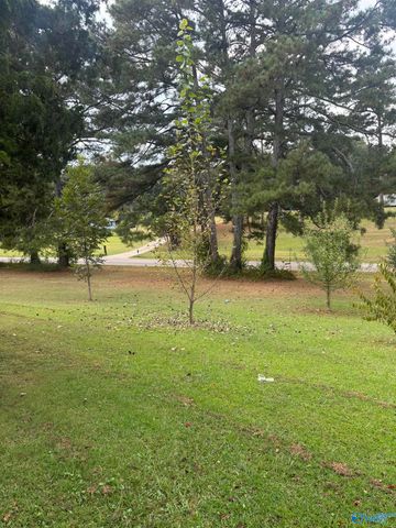 755 County Road 355, Leesburg, AL 35983