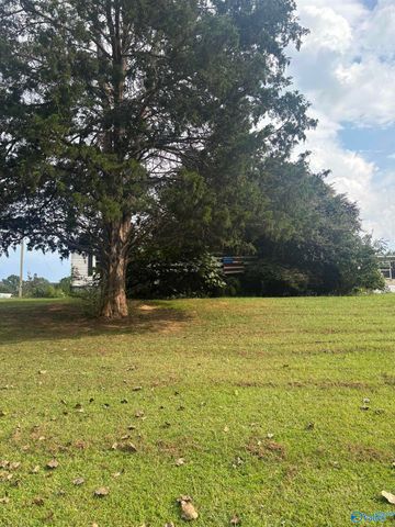 755 County Road 355, Leesburg, AL 35983