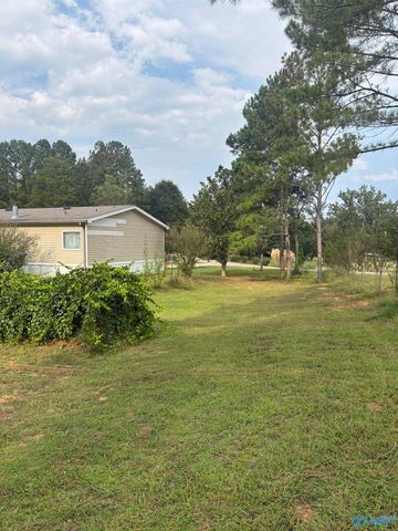 755 County Road 355, Leesburg, AL 35983