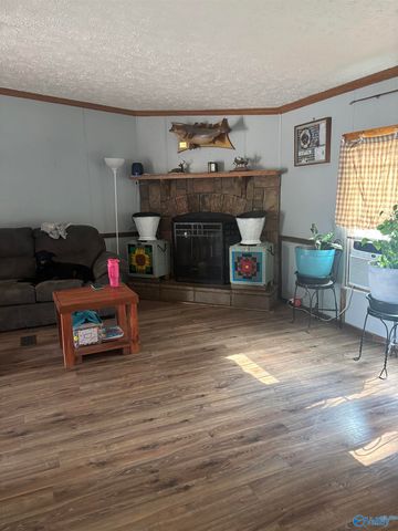 755 County Road 355, Leesburg, AL 35983