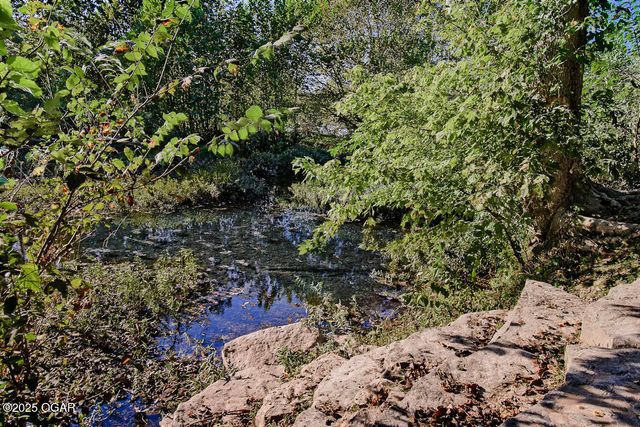 715 Easy Street, Noel, MO 64854