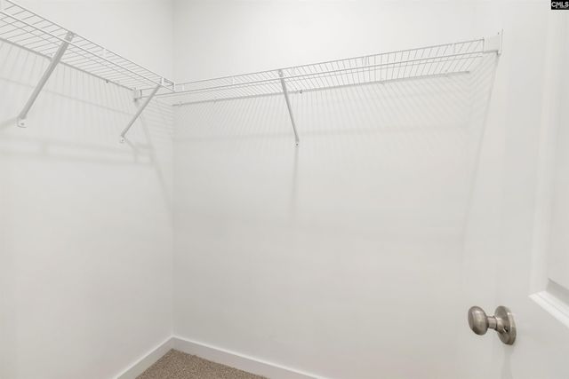20 Fawn Spot Court, Elgin, SC 29045